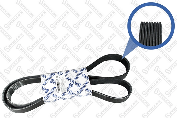 08017