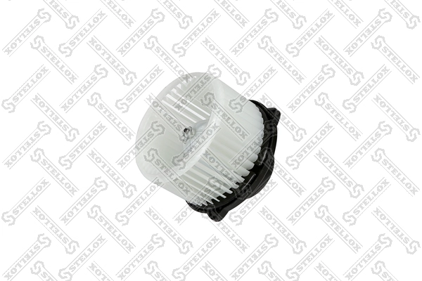 29-99562-SX