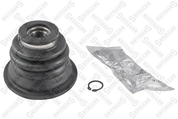 13-00055-SX