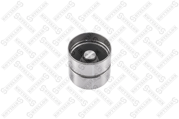 20-00560-SX
