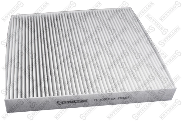 LC079487AA