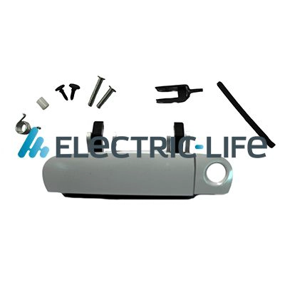 ZR80813