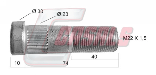 21404