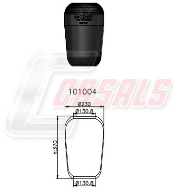 B1003