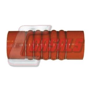 33245