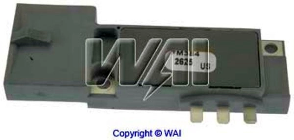 ICM217
