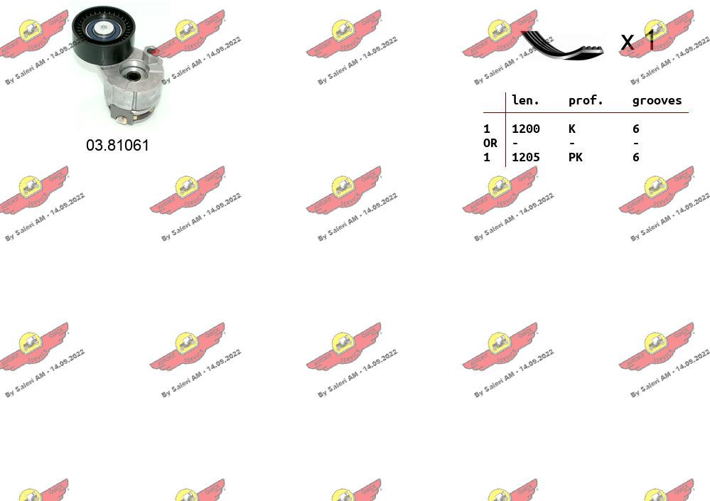 117209782R
