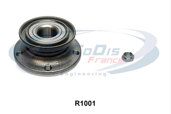 R1001