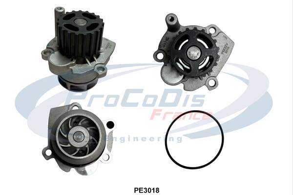 PE3018