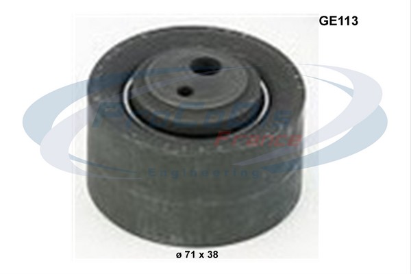 GE113