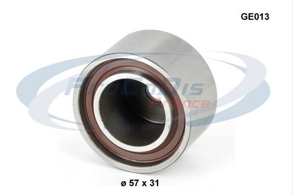 GE013