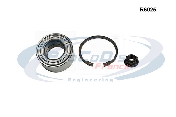 R6025