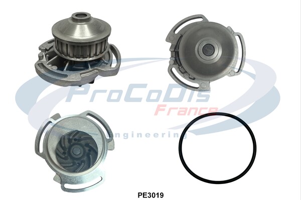 PE3019