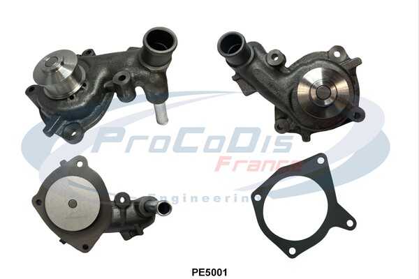 PE5001