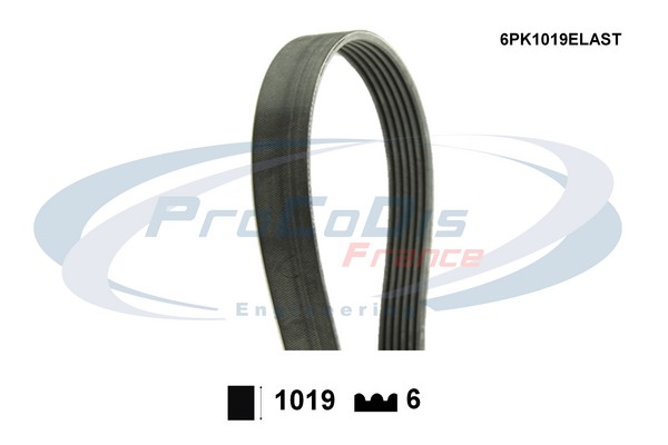 6PK1019ELAST