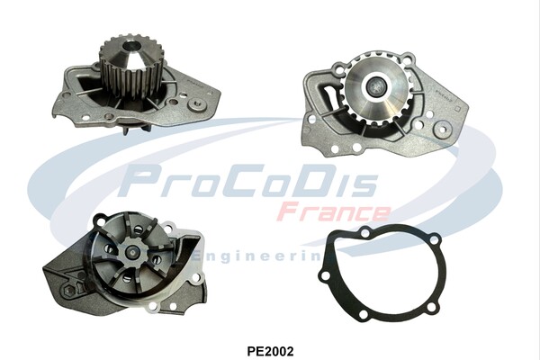 PE2002