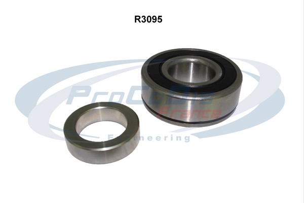 R3095