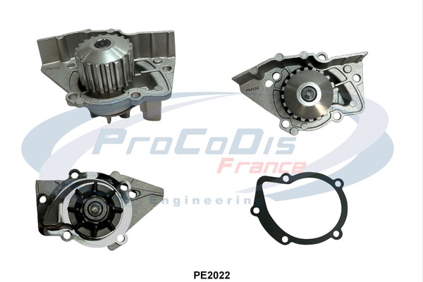 PE2022