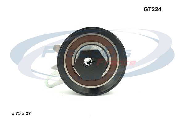 GT224