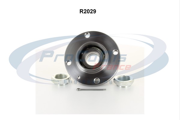 R2029