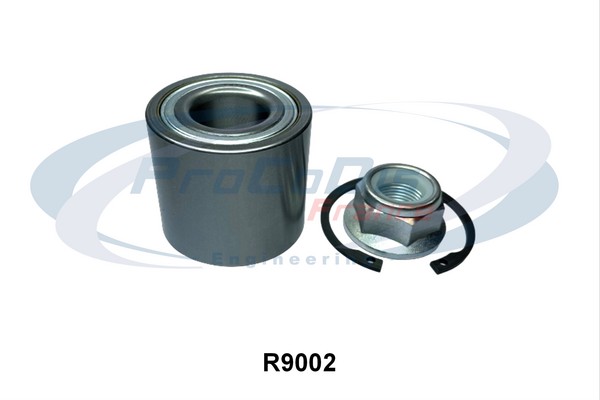 R9002