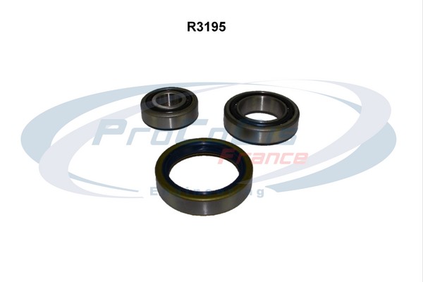 R3195