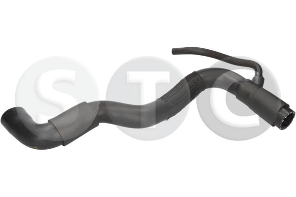 T494958