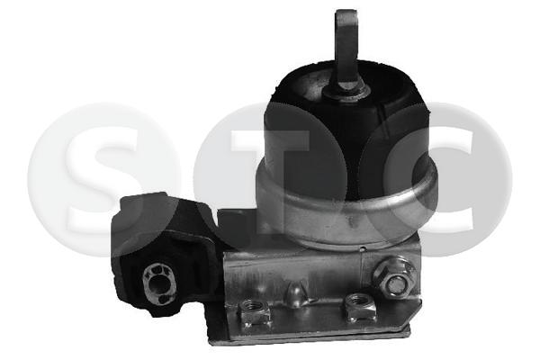 T404557