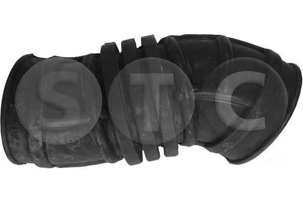T404974