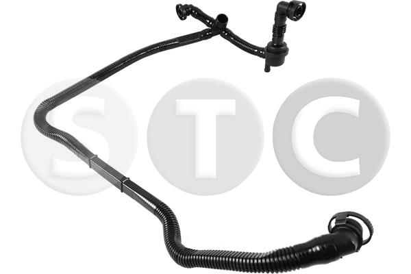 T435817