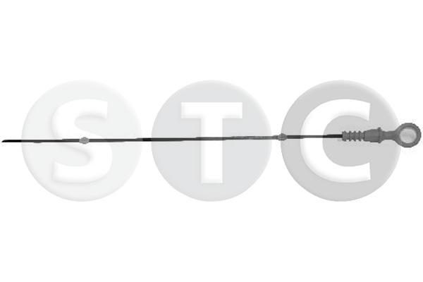 T404795