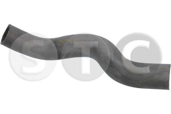 T494936