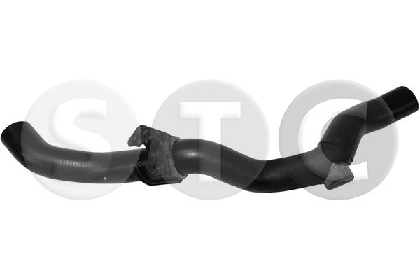 T498069