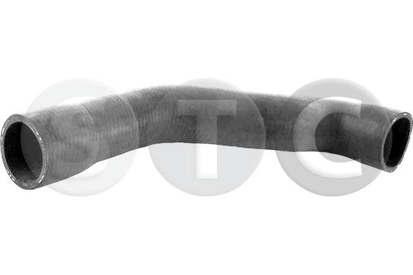 T498531