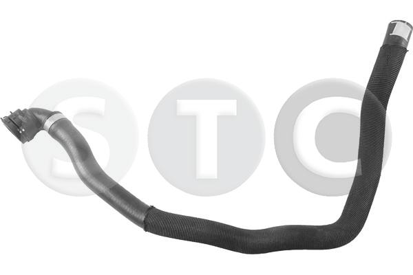 T494526