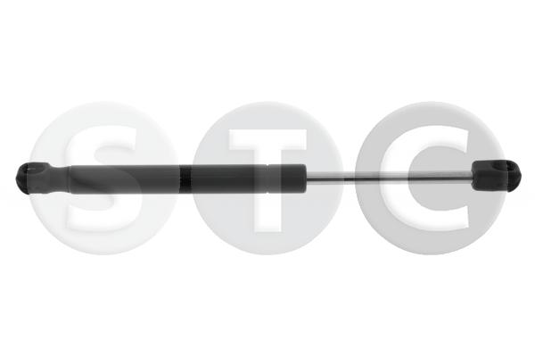 T446704