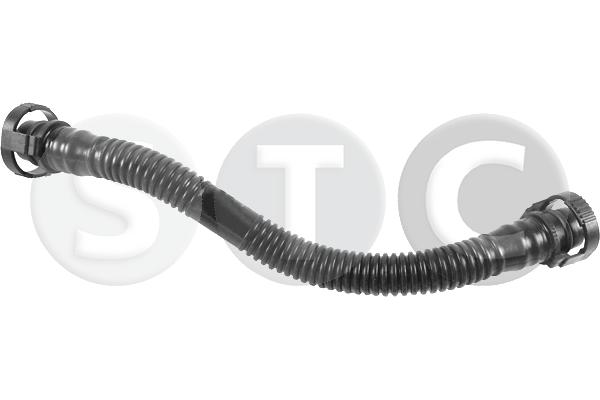 T438815
