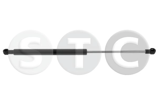 T446246