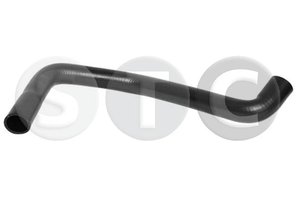 T498384