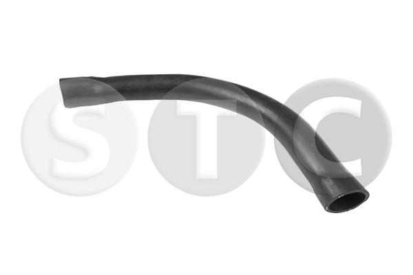 T494598