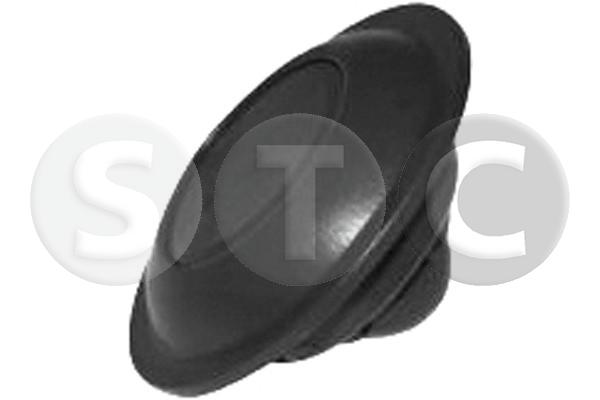 T493875