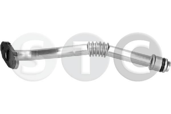 T479384