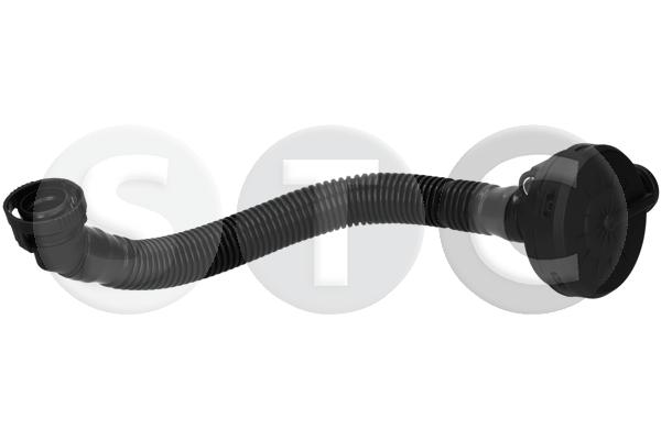 T438748