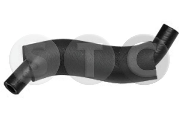 T498958