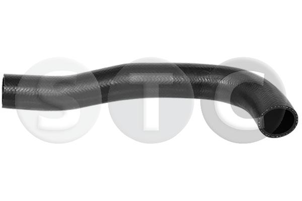 T498954
