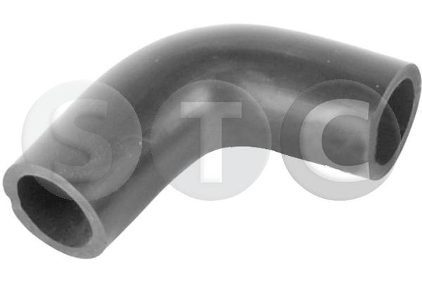 T408254