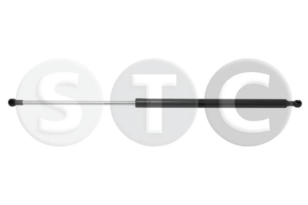T446498