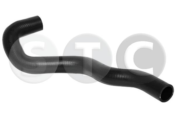 T498919