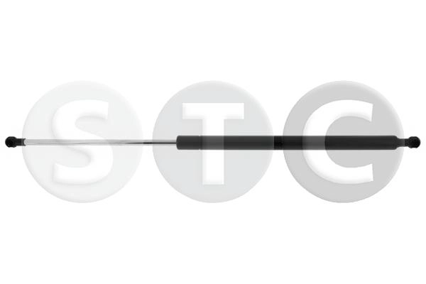 T446303