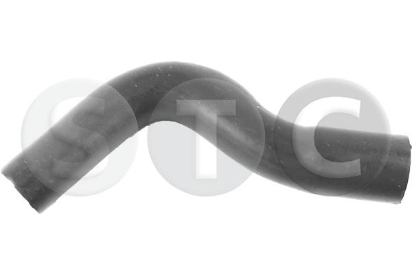 T498631